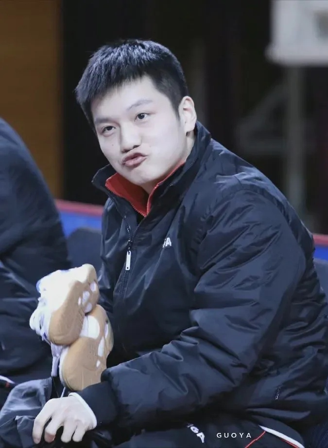 奥地利队险胜瑞典队，樊振东高光表现