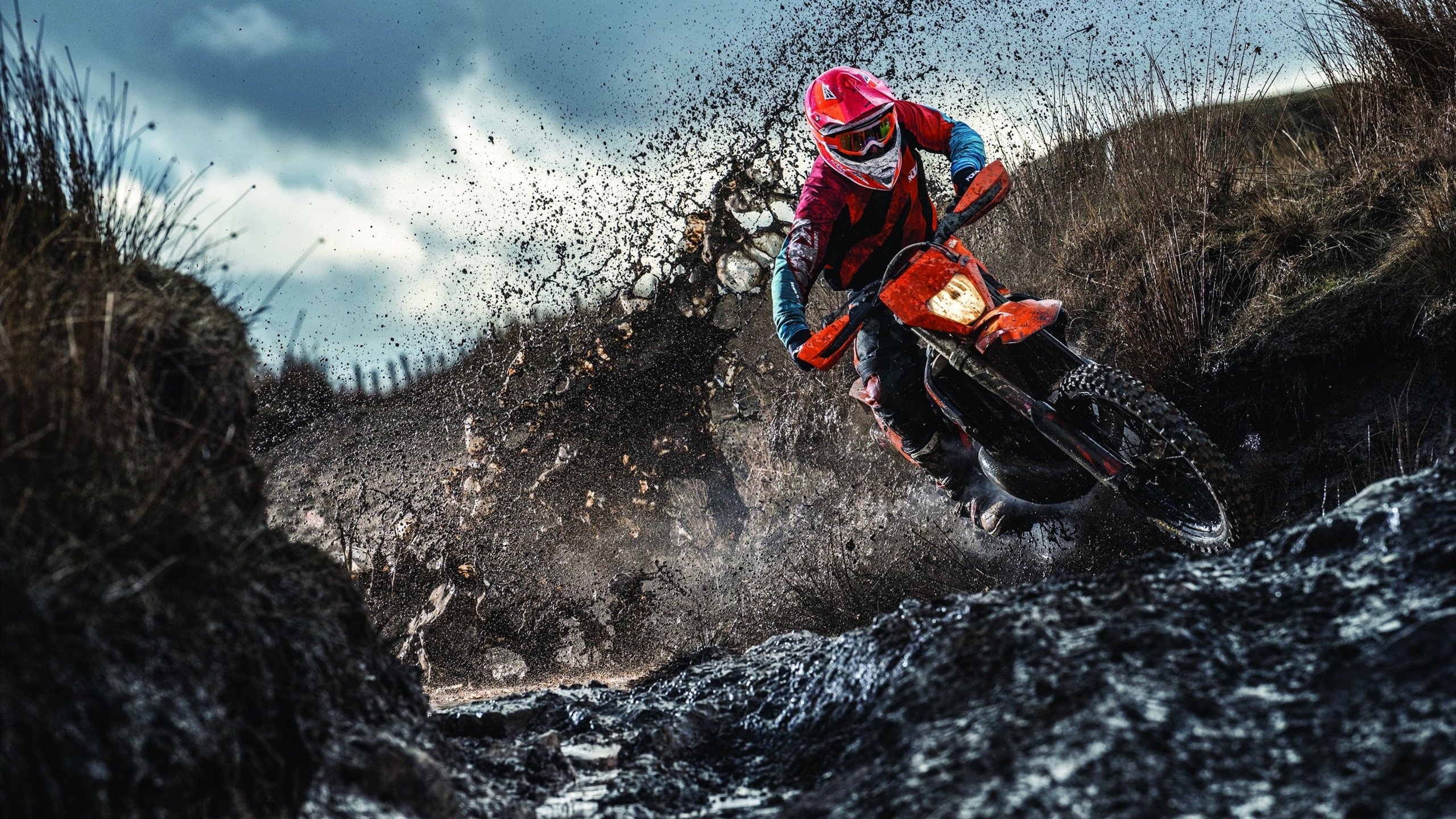 拉梅洛生涯之夜狂飙40+15，公牛加时险胜森林狼，新星崛起还是昙花一现？